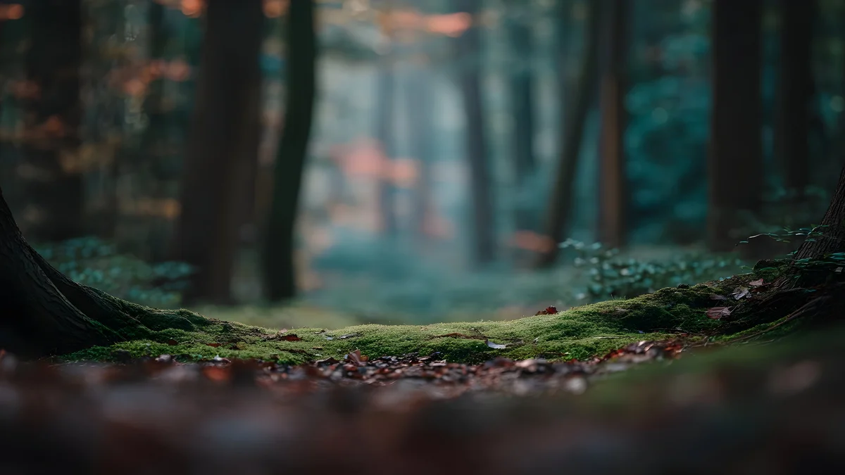 Rooted in Reverence - Blog