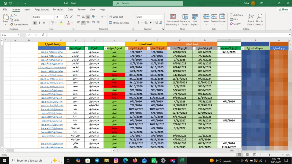 Vehicle Data Management in Excel