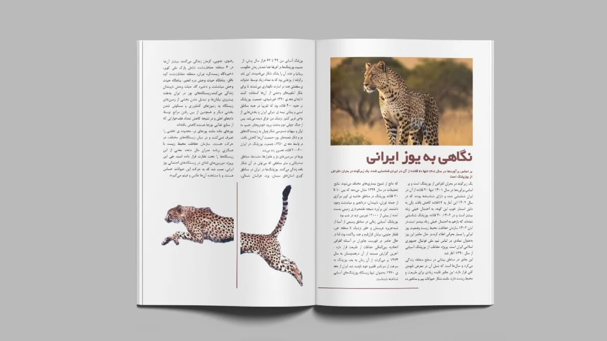 Publication design